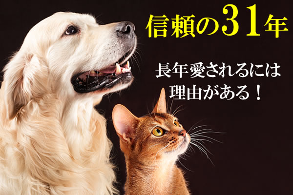 サンプルメージ