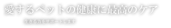犬・猫・ハムスター・フクロモモンガ・鳥・ウサギ・リス・フェレットなど、犬や猫、小動物などにアガペットゴールド