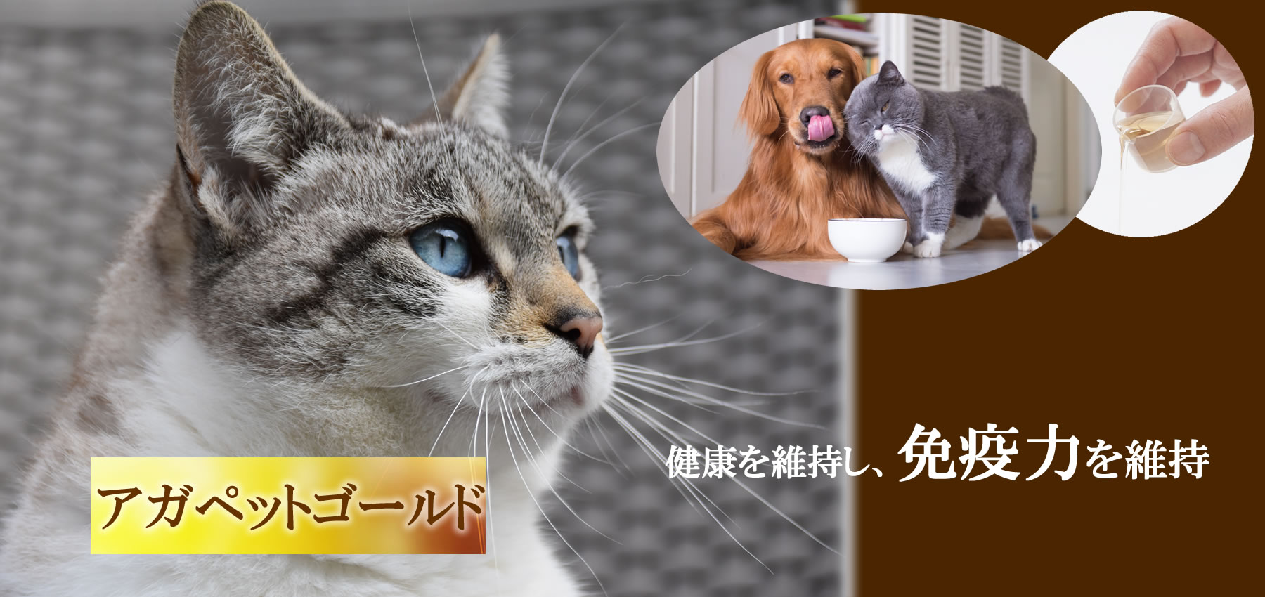 アガペットゴールド猫